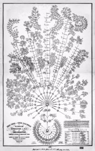 Organizational chart of a large railway company from the previous century