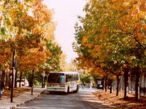 bus arriving at transfer facility